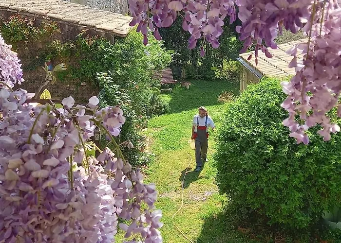 Ferienhaus Maison Provencale Les Glycines *